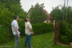 Antenna varázs 2018 06 10