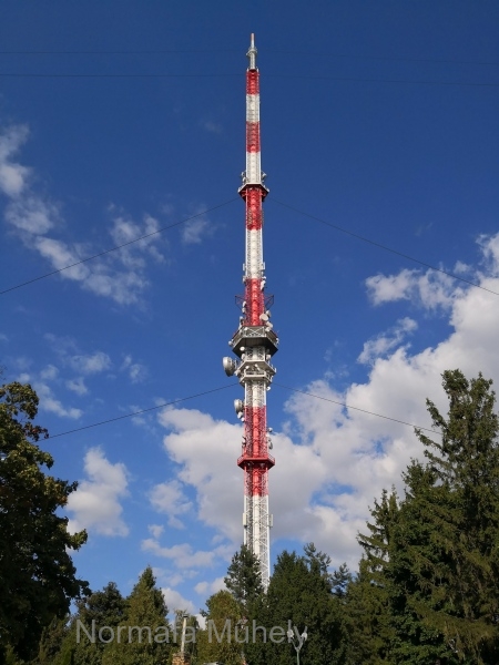 241443584_4456651251040981_8697850089705178642_n