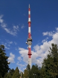 241443584_4456651251040981_8697850089705178642_n