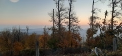 20211031_063530