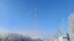 20250118_141157