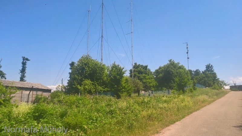 WP_20210625_14_06_23_Pro