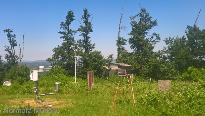 WP_20210625_14_09_46_Pro