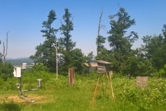 WP_20210625_14_09_46_Pro