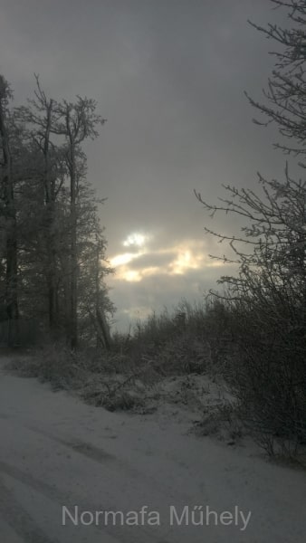 WP_20211206_14_20_14_Pro