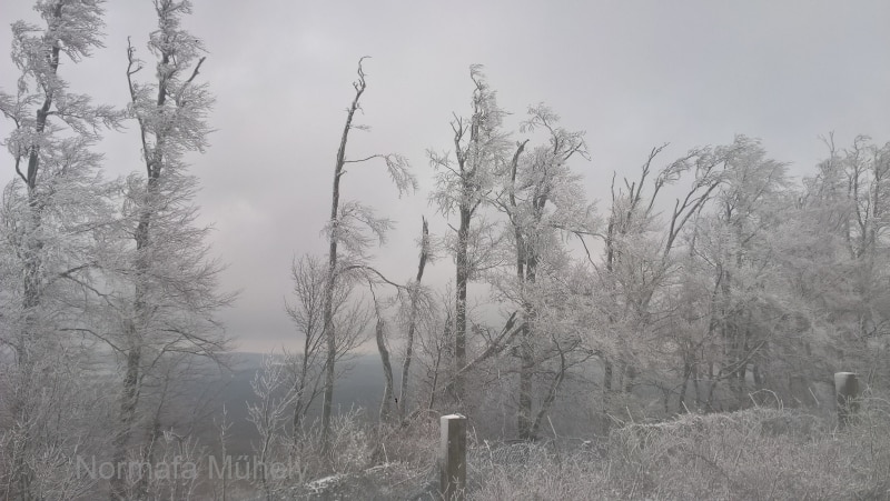 WP_20211206_14_22_35_Pro