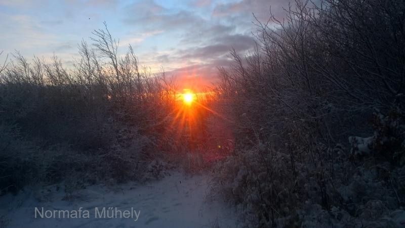 WP_20211206_15_52_10_Pro