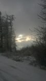 WP_20211206_14_20_14_Pro