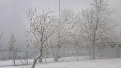 WP_20211206_14_20_53_Pro