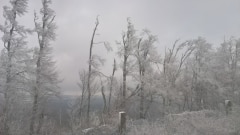 WP_20211206_14_22_35_Pro