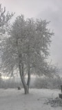 WP_20211206_14_23_29_Pro