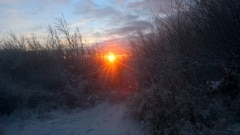WP_20211206_15_52_10_Pro