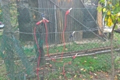 antennás nap 2017 10 21 16