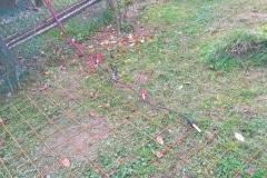antennás nap 2017 10 21 9