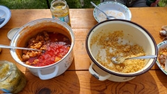 Malacpörkölt tarhonyával.